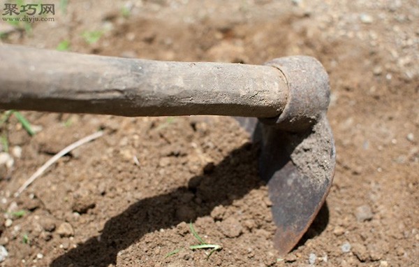 How to grow potatoes at home Potato cultivation techniques