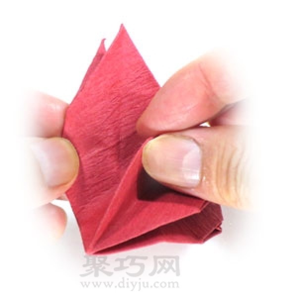 Origami Poinsettia Flower Illustration