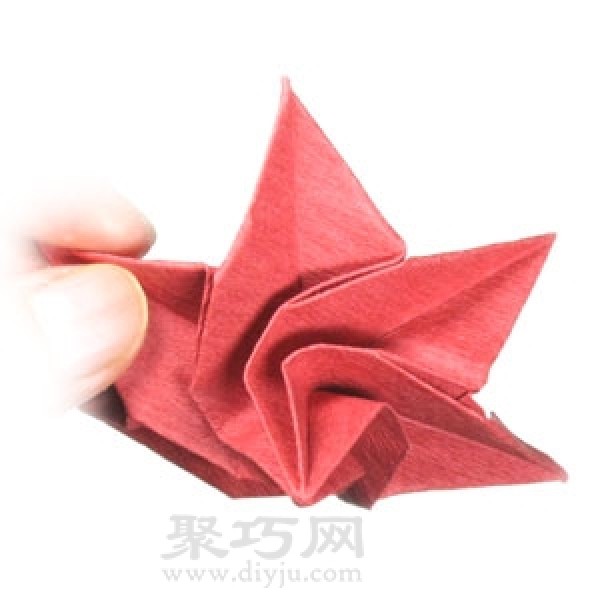 Origami Poinsettia Flower Illustration