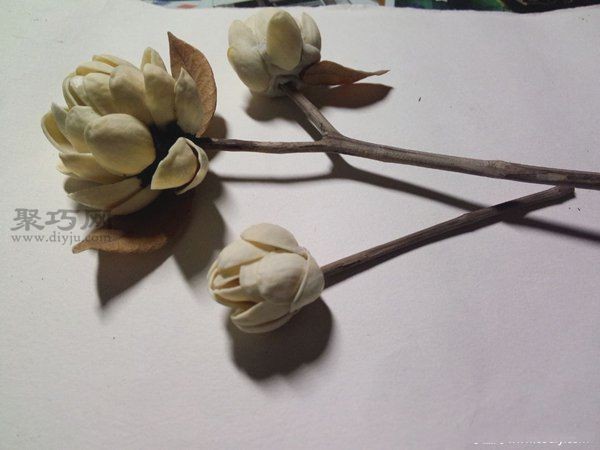 Handmade DIY blooming flowers from pistachio shells and branches