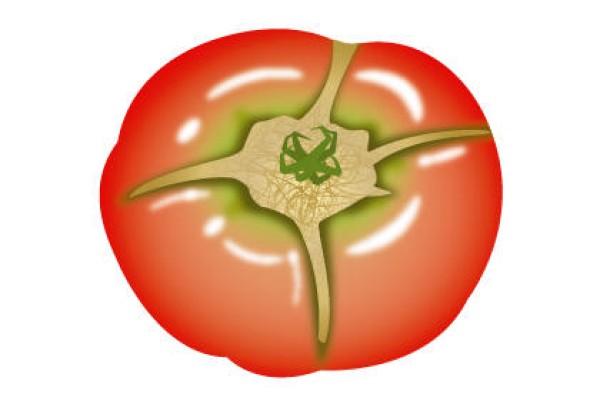 Three common diseases in growing tomatoes and measures to prevent tomato diseases