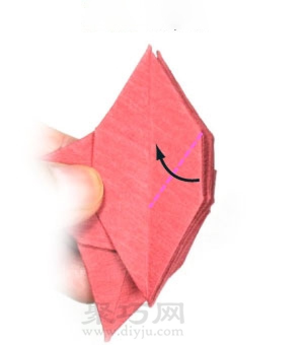 Origami Poinsettia Flower Illustration