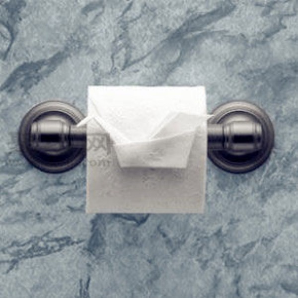 Toilet paper origami illustrated tutorial Toilet paper origami art appreciation