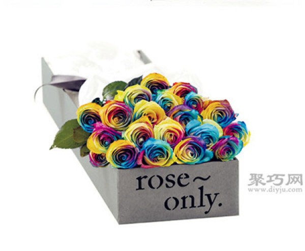 What is the meaning of colorful roses? What does the rainbow rose mean?