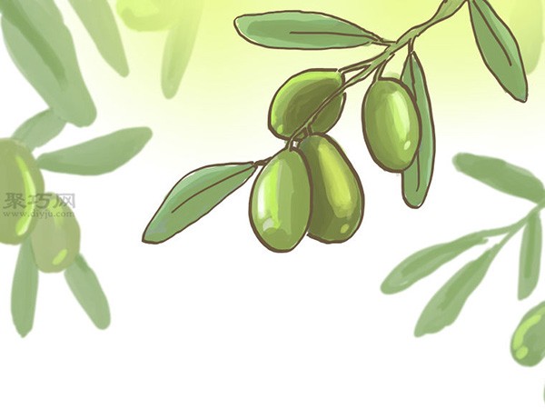 Steps to grow olives How to grow olives