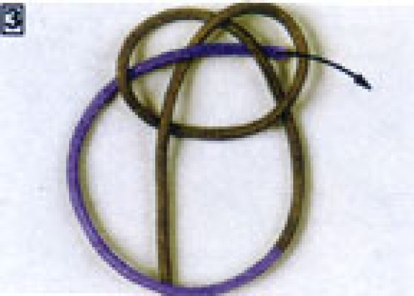 Illustrated tutorial on how to knit a single-thread double-money Chinese knot