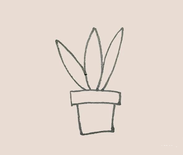 Simple drawing of tiger orchid