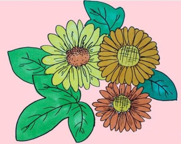 How to draw wild chrysanthemums