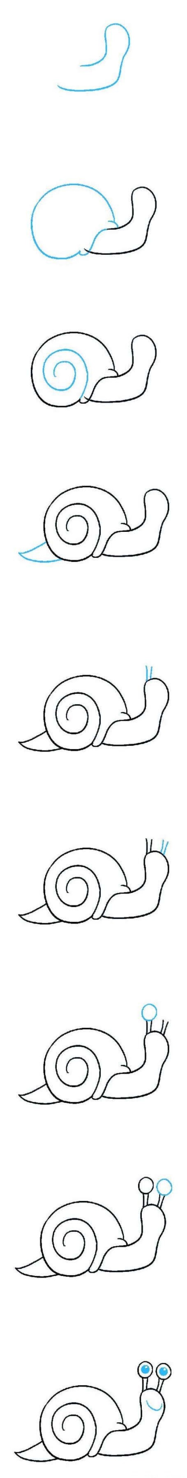 How to draw a cute little snail