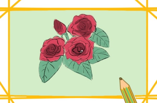 How to draw red rose flowers