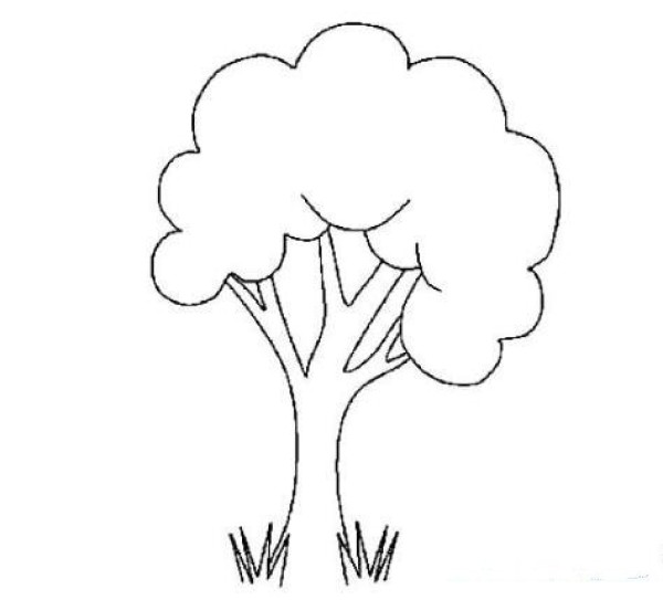 How to draw a big tree