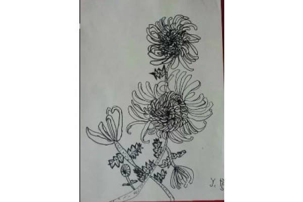 The season when chrysanthemums are fragrant, children’s drawings of chrysanthemum appreciation during the Double Ninth Festival