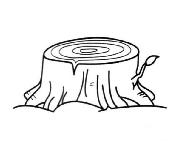 How to draw a tree stump