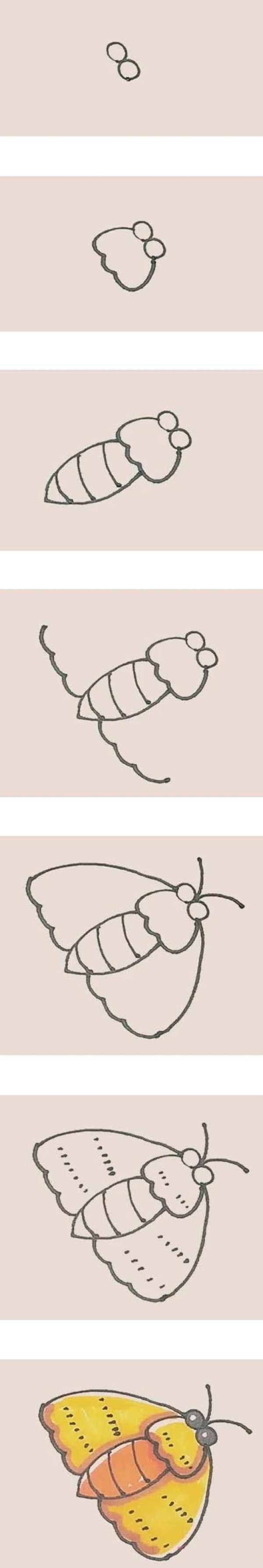 How to draw colorful moths