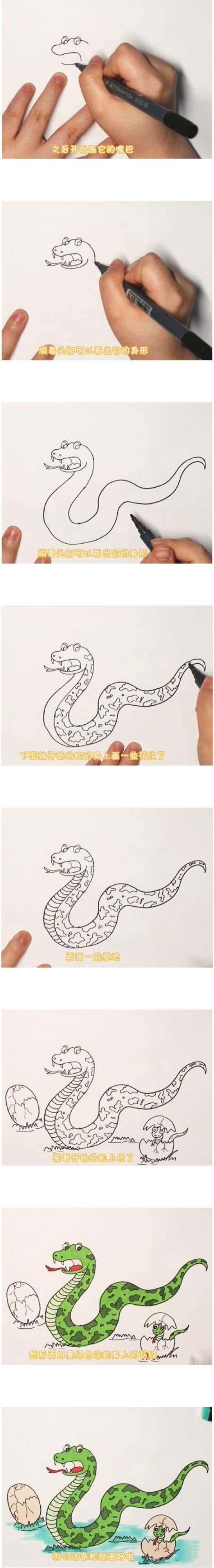 Teach you how to draw a snake