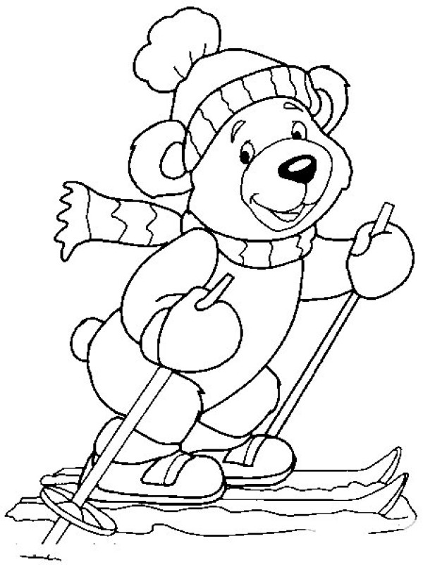 skiing bear