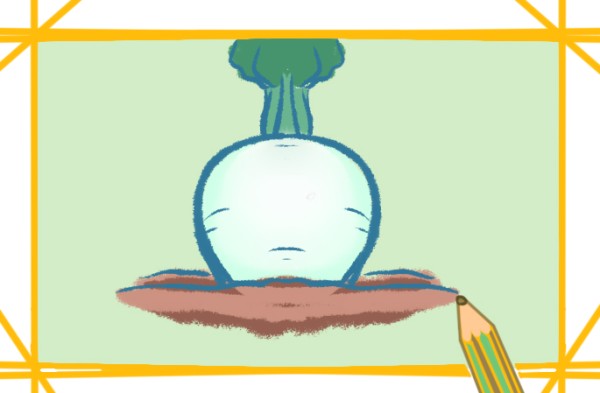 Simple drawing of white radish in the soil