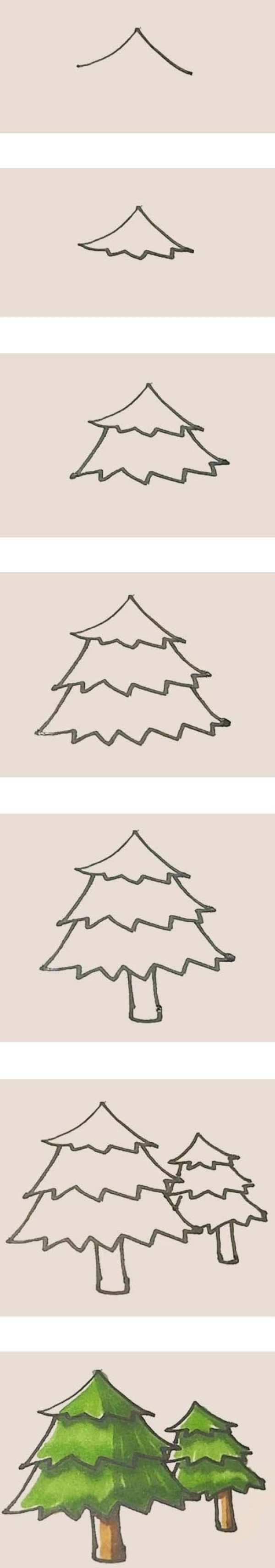 Kindergarten pine tree simple strokes