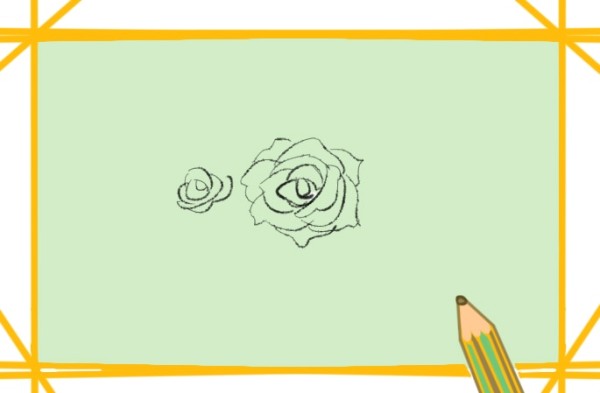 How to draw red rose flowers