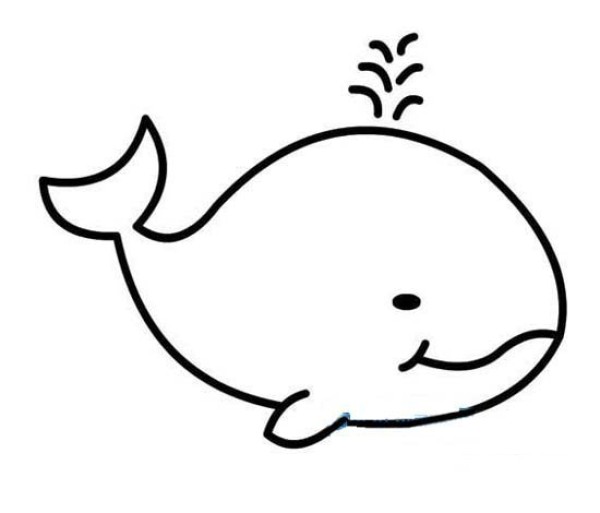 A collection of simple and beautiful whale drawing pictures for children