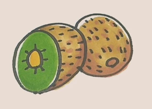 Simple drawing of kiwi fruit