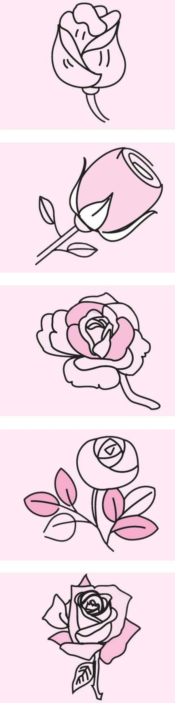 How to draw colorful roses