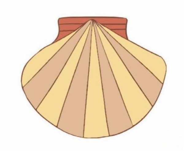 How to draw beautiful seashells