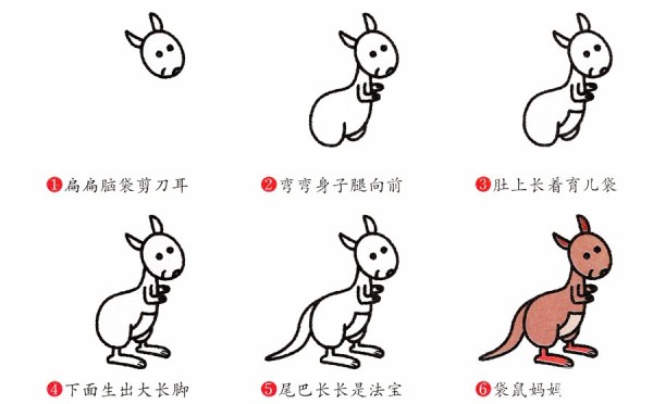 How to draw a cute kangaroo