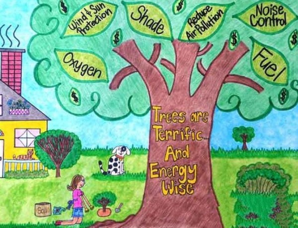 Appreciation of Arbor Day drawings by little girl planting trees in second grade