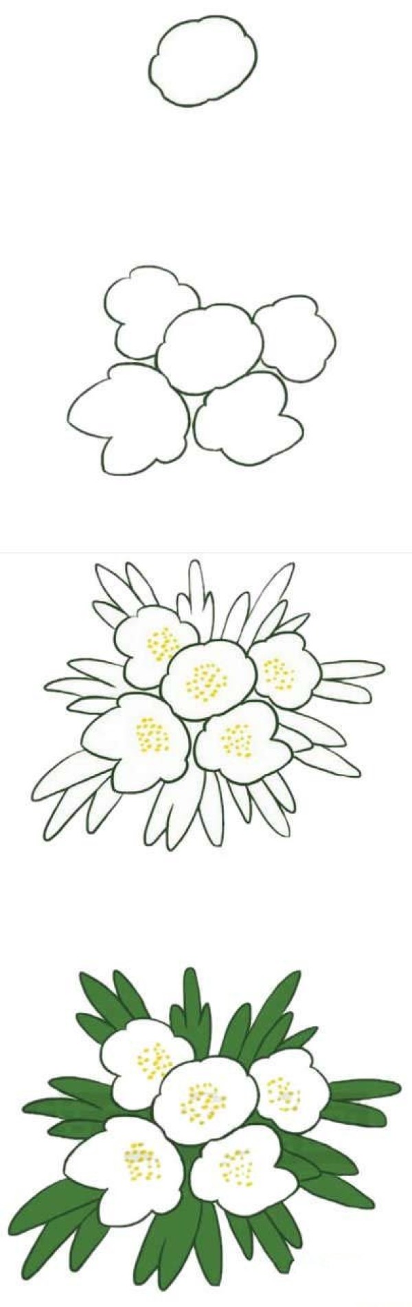 How to draw anemone