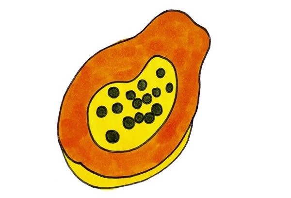 How to draw a cut papaya