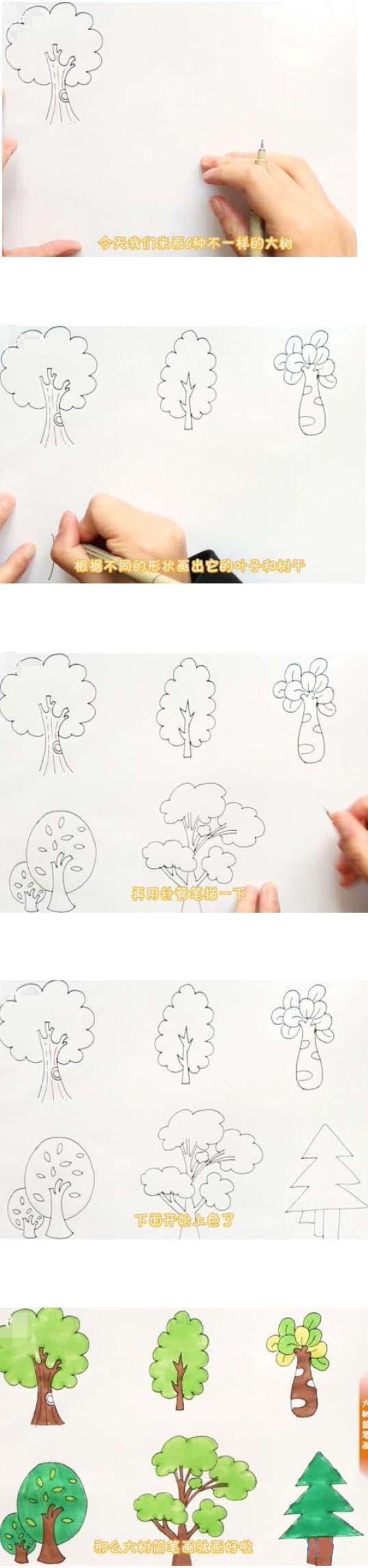 Simple strokes of six kinds of big trees