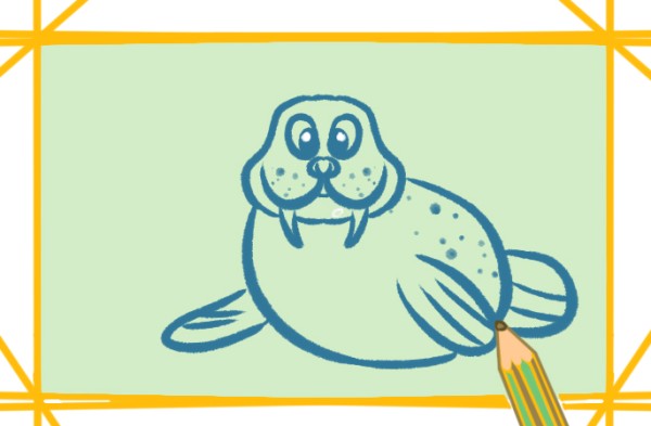 Huge walrus simple drawing