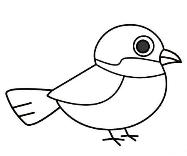 How to draw a beautiful little sparrow with color