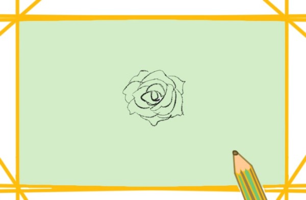 How to draw red rose flowers