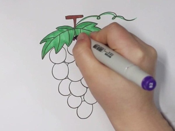 How to draw purple grapes