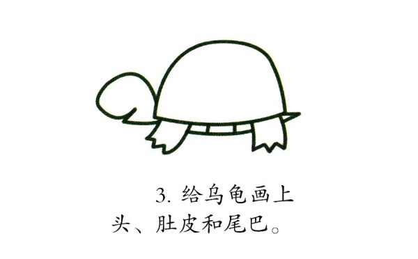 Learn to draw colorful turtles step by step