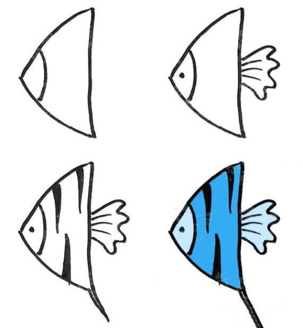 How to draw beautiful angel fish