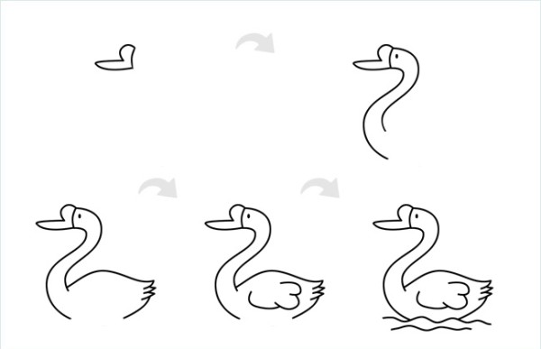 Simple swan drawing pictures include step diagrams