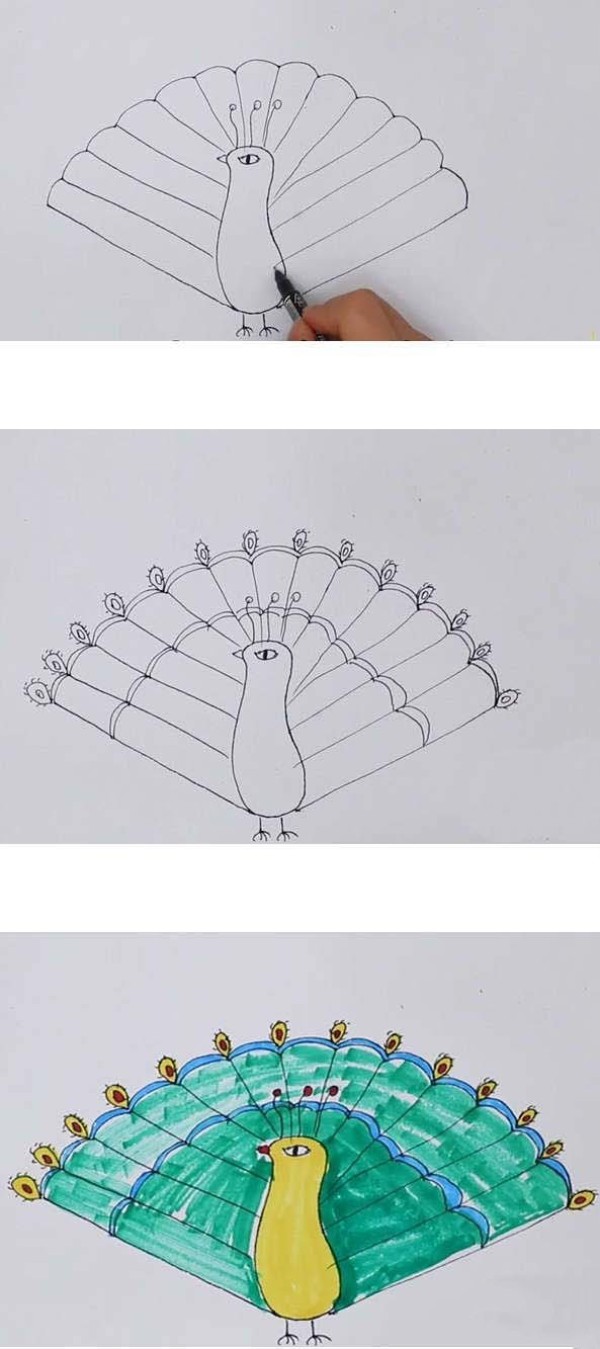 How to draw a beautiful peacock with its tail open