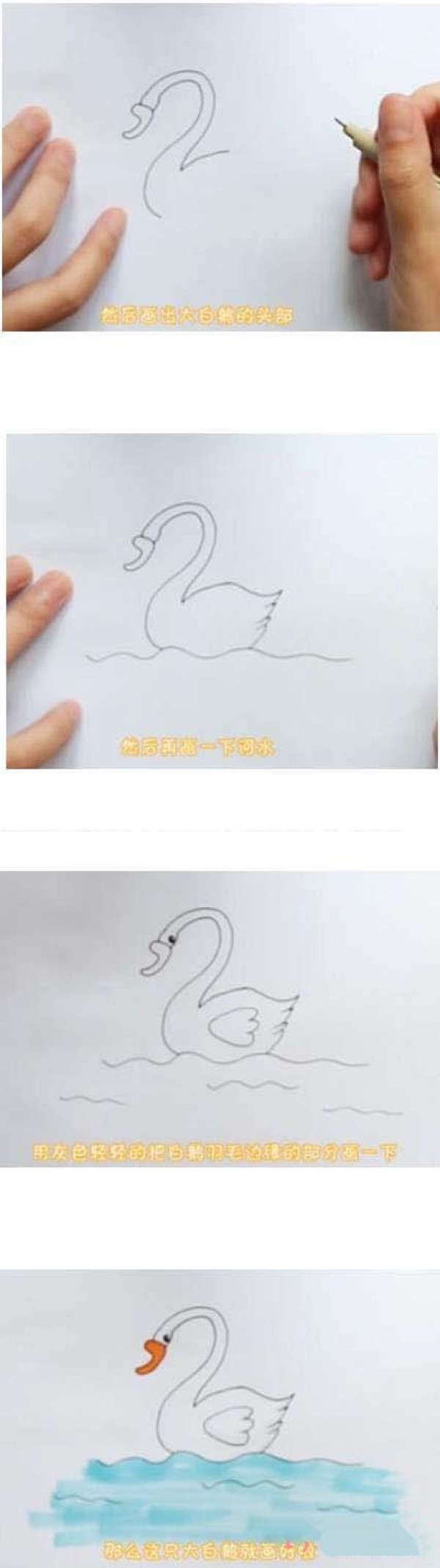 How to draw a big white goose