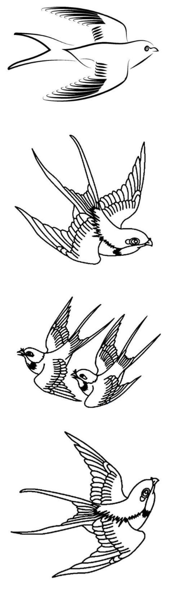 How to draw a little swallow