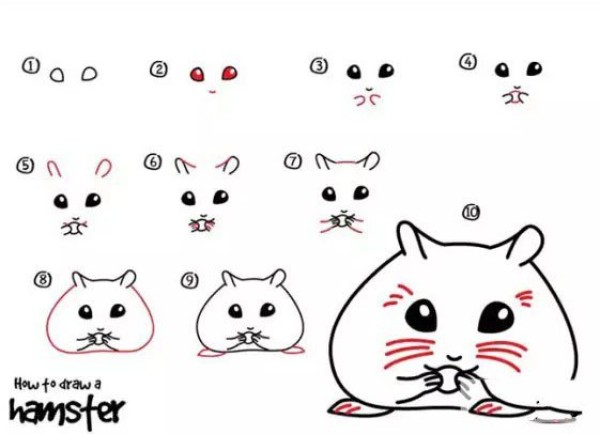 Simple drawing tutorial for children, simple drawing steps of hamster