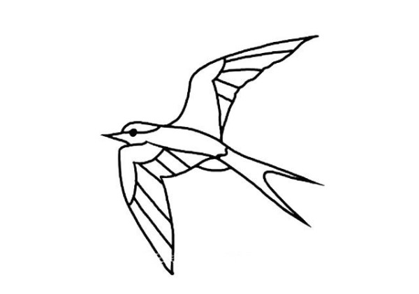 Simple drawing of swallows in spring