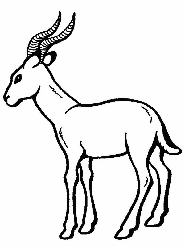 Simple picture of goat for primary school students