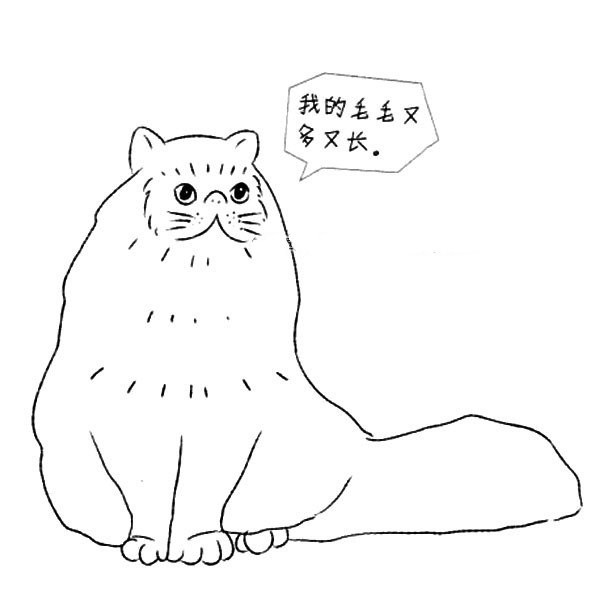 How to draw a Persian cat