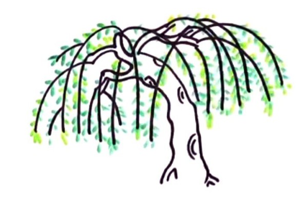 Thousands of green silk ribbons hanging down willow tree simple drawing tutorial