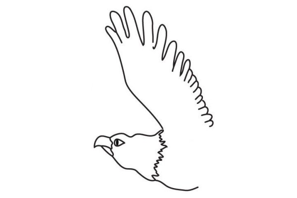 How to draw an eagle in simple strokes