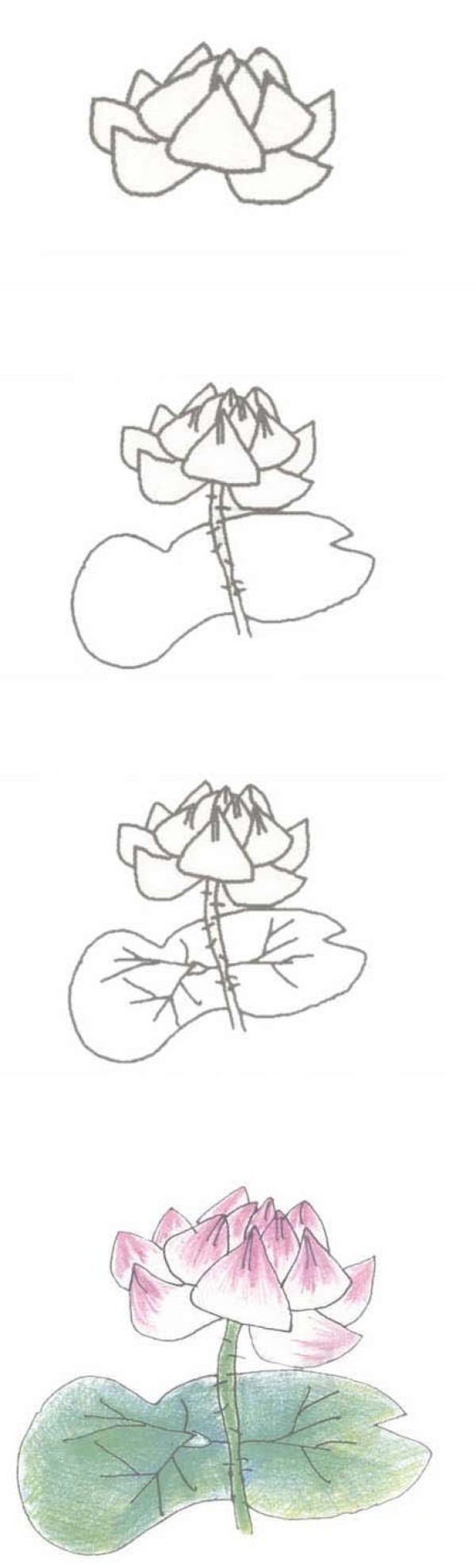 Hand drawn beautiful lotus simple strokes