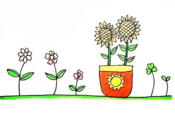 How to draw a potted sunflower